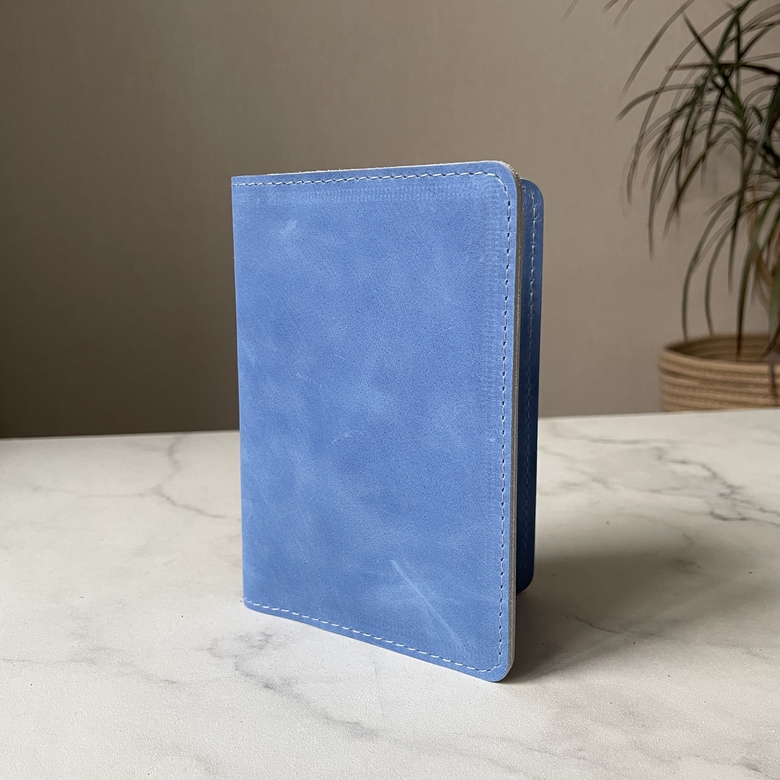 Обложка на паспорт - небесный крейзи хорс